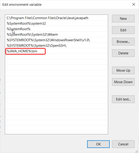 set java path