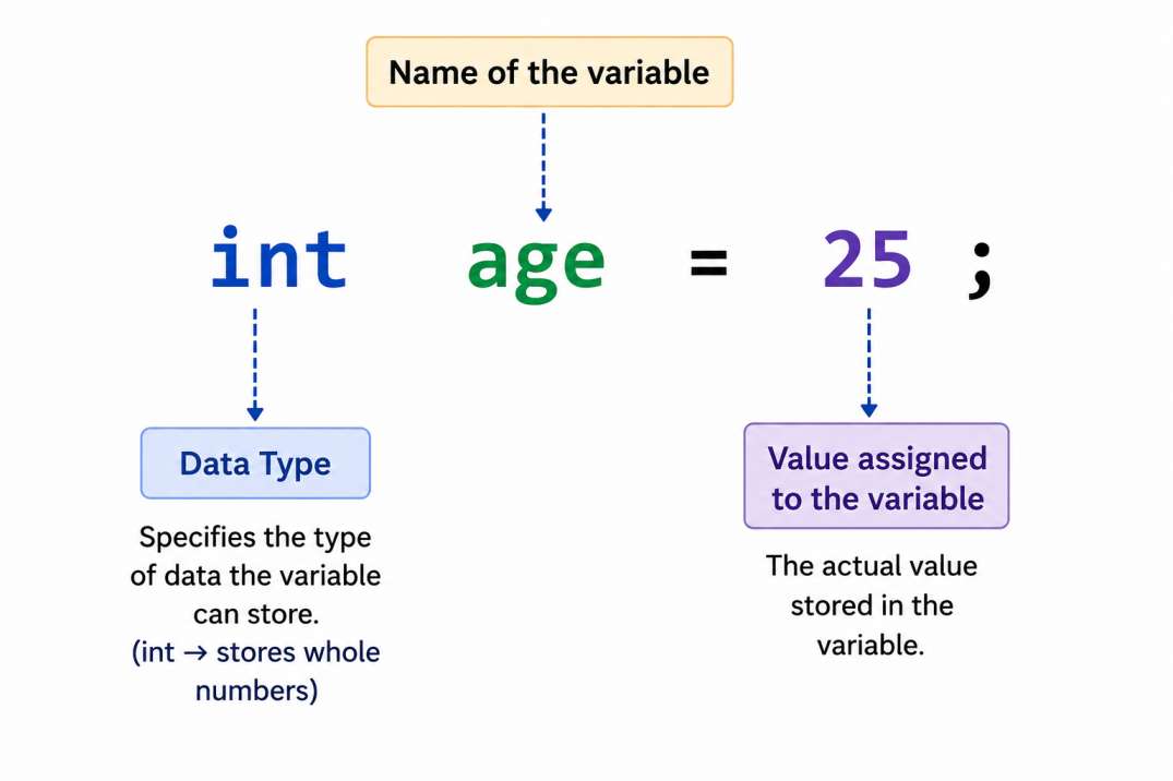 java variable